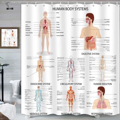【CW】✑  Human Shower Curtain Illustration DecorScience Anatomy CurtainsSkeleton Fabric Set