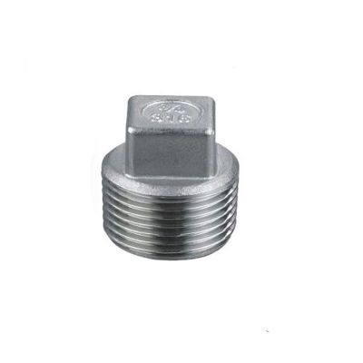BSPT 1/4" DN8 Stainless Steel SS304 Threaded Male Malleable Square Head Pipe Plug For Water Gas Oil Pipe Fittings Accessories