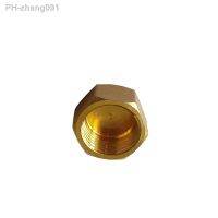 Brass Pipe Fitting Hex Head Cap Connector 1/8 quot; 1/4 quot; 3/8 quot; 1/2 quot; Female BSP