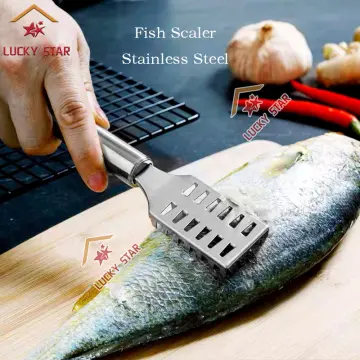 1pc Kitchen Cooking Tools Fish Cleaning Knife Skinner Fish Skin Scraper  Stainless Steel Fish Scales Remover