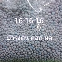 1 Kg ปุ๋ยเคมี ปุ๋ยสูตร 16-16-16 ปุ๋ยบำรุงต้น ดอก ใบ ผล ปุ๋ยยูเรีย เหมาะกับไม้ดอกไม้ประดับพืชผัก ผลไม้ Chemical Fertilizer 16-16-16 1 Kg Chemical Fertilizer Formula 16-16-16 Fertilizer for plants, flowers, leaves, fruit, urea fertilizer, suitable for flowe