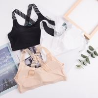 fgjre335 ขายดีที่สุด - /◄ Bra Olahraga Seamless ผู้หญิงเสื้อฟิตเนสยิมโยคะกันกระแทกเสริมทรงกีฬาวิ่งออกกำลังกายระบายอากาศได้ดี