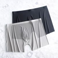 1/2 Pieces Sexy Thin Men Mesh Boxer Shorts Transparent See Through Male U-convex Underpants Gay Wear