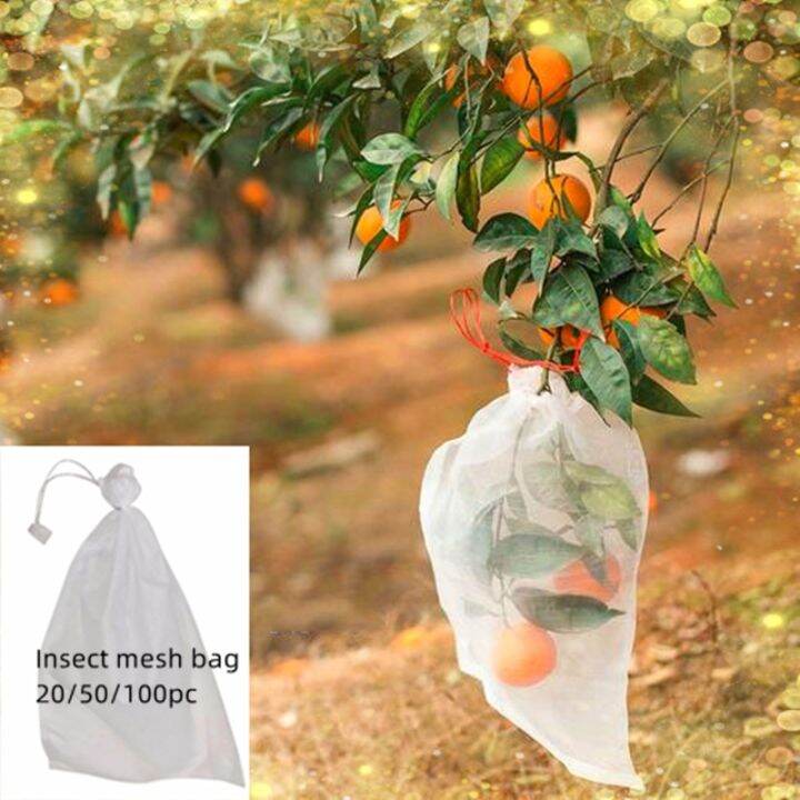 20-50-100pc-vegetable-and-fruit-protection-bag-pest-control-bird-proof-mesh-bag-strawberry-grape-orchard-bagging-mesh-cover