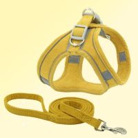 Pet Dog Chest Harness With Leash Reflective Breathable Adjustable Dog Harness Chest Strap For Small Medium Puppy Harness Vest Collars