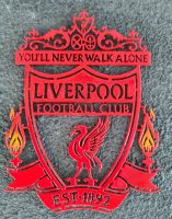 โลโก้ลิเวอร์พูล liverpool เหล็กตัดเลเซอร์ ขนาด 20 *15cmหนา 2.5 mm หนัก 0.4ใช้สี 2K สีพ่นรถยนต์ภายนอก ตกแต่งบ้านรถยนต์ ทนแดดทนฝนไม่เสียรูปขนาดพกพา