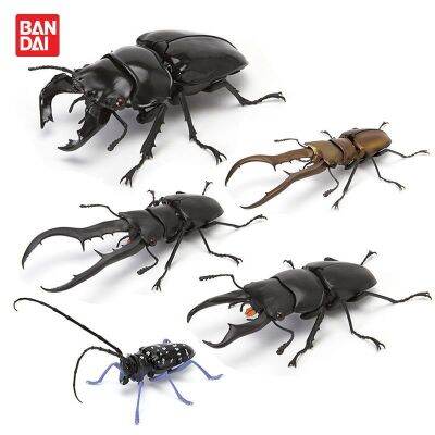 ญี่ปุ่นแท้ Bandai ไข่บิดสิ่งมีชีวิตภาพประกอบด้วง04จำลองจอบหนอน Tarandos เครื่องประดับสีดำขนาดใหญ่