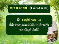 " เกรทวอลล์(Great wall) " ธาตุซิลิกอน(Si) 500cc