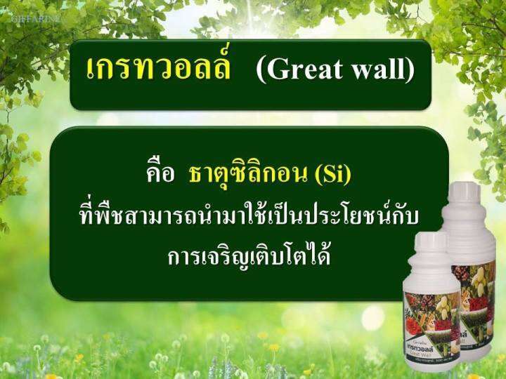 เกรทวอลล์-great-wall-ธาตุซิลิกอน-si-500cc