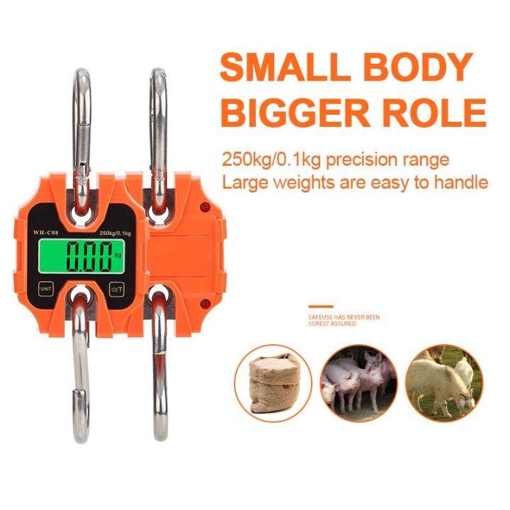 Digital Hanging Scale 250KG Portable Crane Scale High Precision Weight