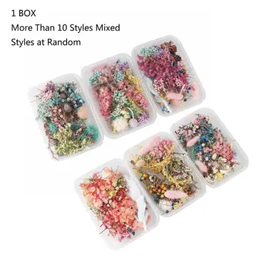 Real Pressed Flower, Flowers for Resin, Dried Daisy Flower Resin, Dry Flowers  for Crafts, Epoxy Mold Fillings, Jewelry Making Flowers 