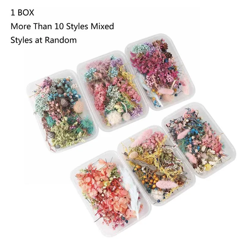 1Box Real Dried Flower Dry Plants Filling Material For DIY Epoxy Resin  Jewelry Making Craft Aromatherapy Candle Accessories
