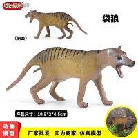 ? ของขวัญ เด็กจำลองของเล่นสัตว์ที่เป็นของแข็งสูญพันธุ์สัตว์ป่ารุ่น thylacine Tasmanian tiger เครื่องประดับความรู้ความเข้าใจ