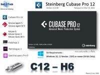 Steinberg Cubase Pro 12 โปรแกรมทำเพลง แต่งเสียง มิกซ์เสียง (Windows)