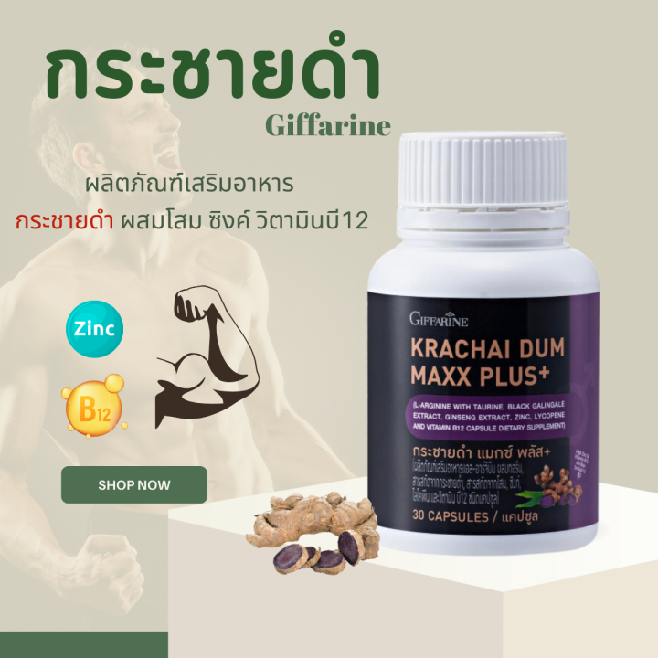 กระชายดำ-กระชายดำกิฟฟารีน-กระชาย-krachai-dum-maxx-plus-giffarine