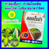 กำจัดเชื้อรา คลอโรทาโลนิล  1 กิโลกรัม ราแป้ง ราน้ำค้าง ใบจุดราสนิม ใบติดทุเรียน กาบใบแห้ง ชนิดสัมผัส กำจัดเชื้อเร็ว แอนแทรคโนส โรคพืช