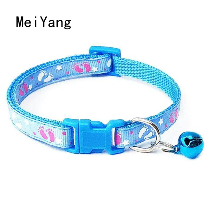 can cats wear small dog collars