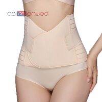 【cw】 Coloriented 3329A StripedSculptingforWaistBreathable Reinforced Abdominal Shapewear Stretch Adjustable ！