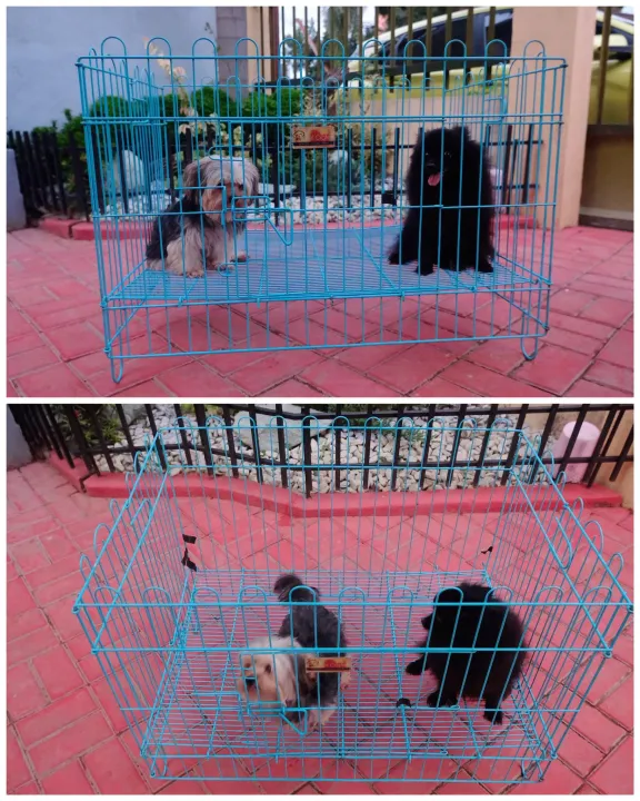 Dog Crib Playpen Size 4 (Black) Lazada PH