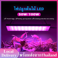 ไฟปลูกต้นไม้ LED 50W/100W โคมไฟปลูกพืช LED Grow Light  โคมไฟช่วยต้นไม้ตัวเร็ว  แสงพืชเต็มสเปกตรัม ช่วยให้พืชโตเร็ว J47