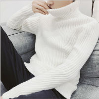 2021White Black Turtleneck Sweater Men Pullovers Winter Thicken Cashmere Mens Knitted Jumpers Male Turtle Neck Sweater Pull