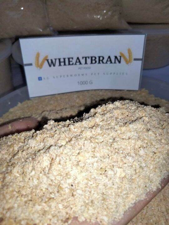 Wheatbran 100g only per pack Substrate/beddings/dry foods for feeders
