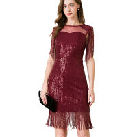 DTNOW Lady 1920 S Dress Flapper Great Gatsby Costume งานเลี้ยงค็อกเทล Sequin Fringe Dress