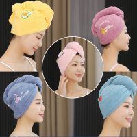 New Coral Velvet Dry Hair Cap Embroidery Comfortable Water Absorbent Dry Hair Towel Soft Bath Cap Thickening Wholesale Towels