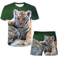 3D print Funny Tiger&amp;Wolf BoysGirls Shorts+T shirt Suit Sets Animal Casual Beach kids board shorts New Summer Fashion Cool Sets