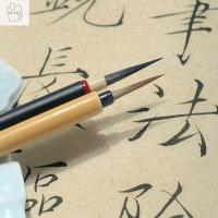 WENQI การวาดภาพสีน้ำมันไม้ไผ่สำหรับฝึกวาดภาพศิลปะพู่กันเขียนเขียนพู่กันเขียนอักษรสำหรับนักเรียนแปรงจีน