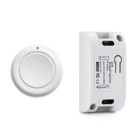 Smart Home Wireless Light Switch RF 433 MHz Remote Control AC 110V 220V Receiver Push Button Bedroom Ceiling Lamp Switch