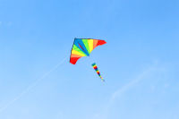 【cw】free shipping large rainbow kite with windsock animal kite reels flying bird toy flying door styles kite kids kites beach 【hot】