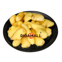 (DIOA MALL) 四川正宗泡生姜 老坛黄姜川菜配料 Sichuan Authentic Pickled Ginger 500g Old Altar Turmeric Sichuan Cuisine Ingredients Pickled Brine Food Seasoning