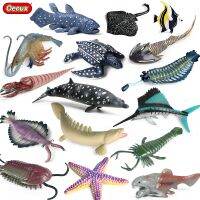 Oenux ยุคก่อนประวัติศาสตร์ Sea Life สัตว์ Opabinia Anomalocaris Latimeria ปลาดาว Ray Action Figures Miniature ของเล่นเด็กการศึกษา