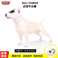 ?สัตว์จำลอง Simulation model of solid animal world dog white large bull terrier children toy furnishing articles