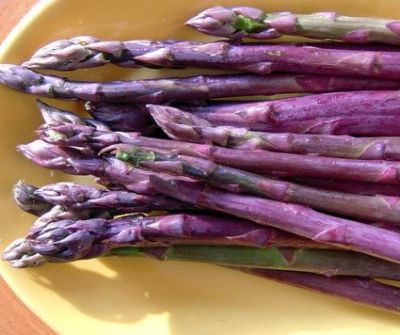 หน่อไม้ฝรั่งสีม่วง Purple  Asparagus Seeds เมล็ดพันธุ์หน่อไม้ฝรั่งม่วง ราคาถูกที่สุด บรรจุ 5 เมล็ด หน่อไม้ฝรั่ง
