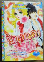 หนังสือการ์ตูน รักเทวดาท่าจะวุ่น 2 เล่มจบ / หมึกจีน