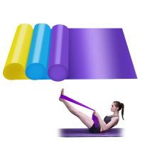 Fitness Exercise Resistance Bands Rubber Yoga Elastic Band Loop Rubber Workout Bands for Gym Training Exercise Bands