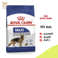 ✨[[จัดส่งฟรี]]Royal Canin สุนัขโต สูตร Maxi Adult เม็ดใหญ่ ขนาด 10 กิโลกรัม เก็บเงินปลายทาง ✨