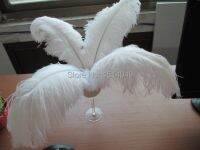 Free shipping wholesale 20pcs High quality natural white selection ostrich feathers 14-16inch/35-40cm Decoration diy