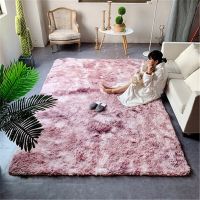 ；‘。、’ New Shaggy Tie-Dye Carpet Printed Plush Floor Fluffy Mats Area Rug Living Room Mats 40*40Cm