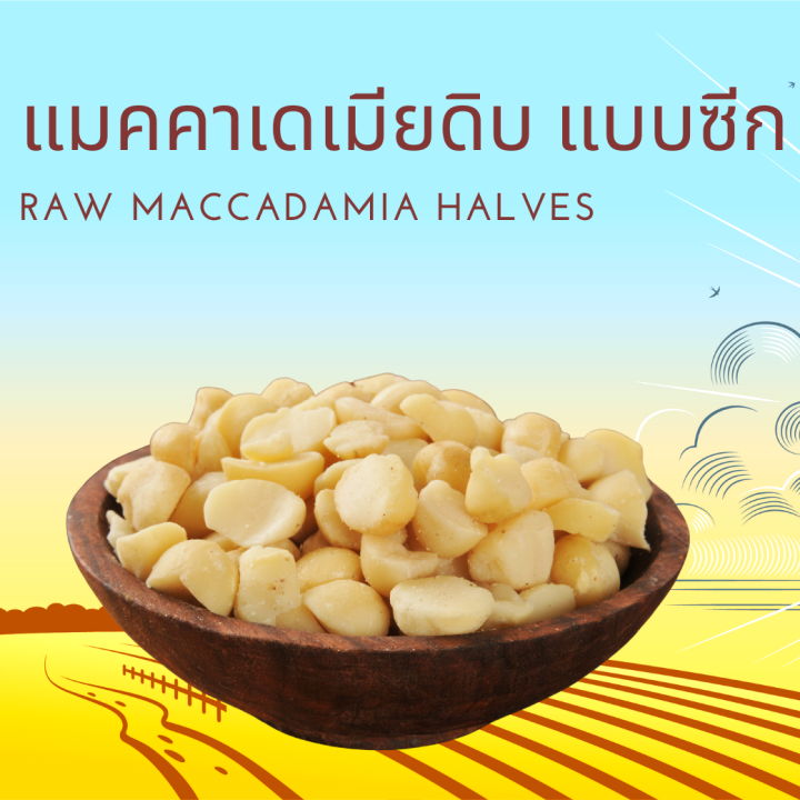 แมคคาเดเมียดิบ แบบ ซีก ขนาด 11.34 กิโลกรัม Raw Macadamia Halves 11.34 kg