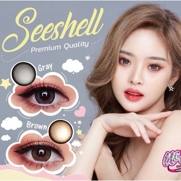 ขายดีที่1-มีค่าสายตา-wink-seeshall-gray-brown-บิ๊กอาย-สุดปัง-คอนแทคเลนส์-รายเดือน-มีอย-แถมตลับฟรี-เลนส์นิ่ม-สวยปังมาก