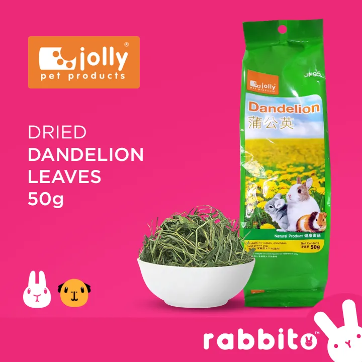 Jolly Dried Dandelion Leaves 50g Treats for rabbits, guinea pigs and