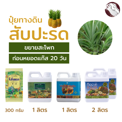 #จัดส่งฟรี#เซทสับปะรด #ช่วงขยายสะโพก #ก่อนหยอดแก๊ส #ปุ๋ยสับปะรด ของแท้#ปุ๋ยกิฟฟารีนของแท้ 100%