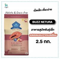 Buzz Netura holistic grainfree  อาหารสุนัข เม็ดเล็ก สุนัขพันธุ์เล็ก รสแซลมอน 2.5กก. เกรนฟรี ส่งทุกวัน มีเก็บปลายทาง