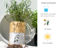 Chili seed Plant, Chili Seed Kit, Seed starter, Soil Kit ชุดเมล็ดสมุนไพร DIY