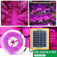 1/2/3/5M Solar LED Greenhouse Hydroponic Grow Light Strip 5V Full Spectrum 2835 Phyto Lamp for Plants Flowers Vegetable Seedling