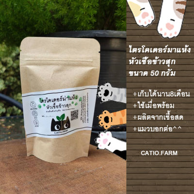 ไตรโคเดอร์มาแห้ง หัวเชื้อข้าวสุก ชนิดพร้อมใช้ เก็บได้นาน 8เดือน catiofarm ผลิตจากเชื้อสด พระเอกราเขียว ปุ๋ยอินทรีย์ กำจัดโรคเชื้อราในพืช ขนาด 50กรัม