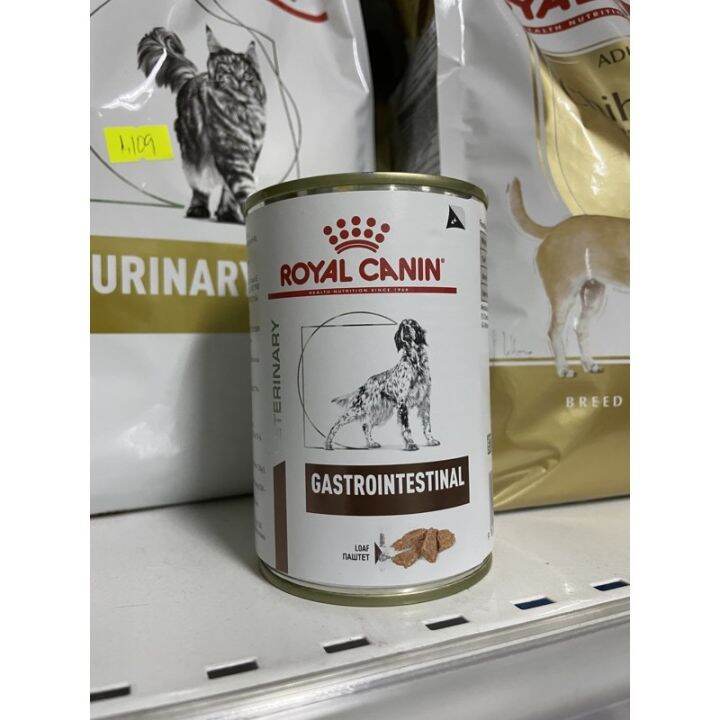 Royal Canin Gastrointestinal Lazada PH